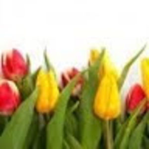 Meet your Posher, Jo ann